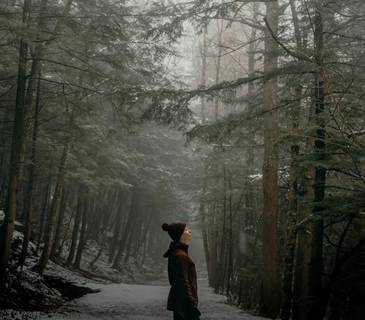 Henkilö katsoo ylös sumuisessa metsässä, maassa ohut lumikerros, ympärillä tiheät havupuut ja sammalikko.