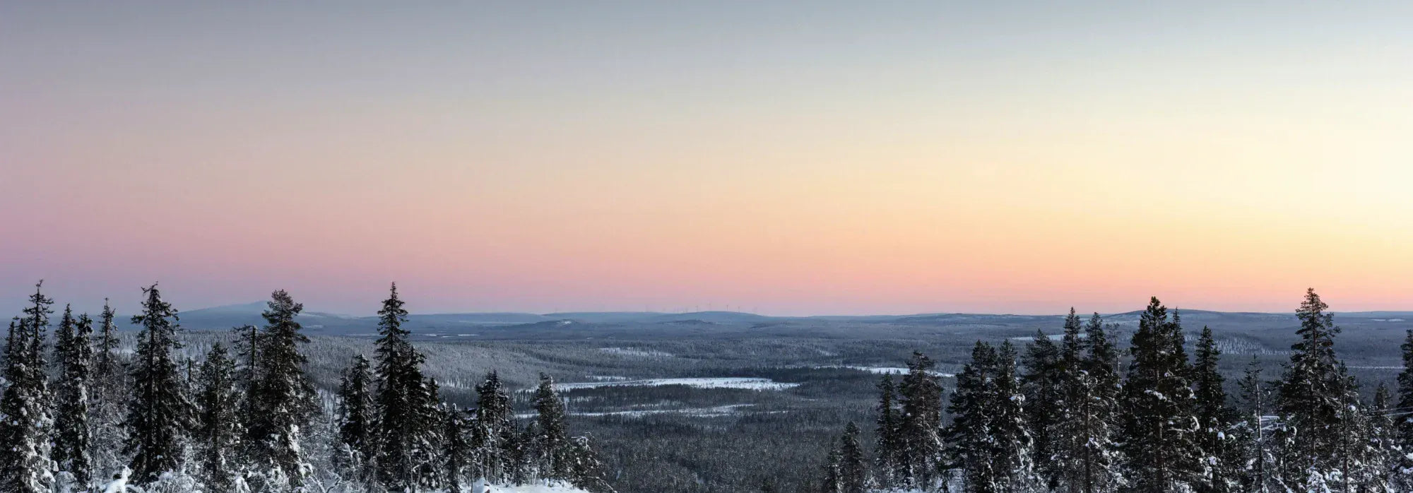 Talvinen laaja metsämaisema lumettomine alueineen ja mustien kuusien siluetit vasten vaalean hennon oranssia auringonlaskun taivasta.