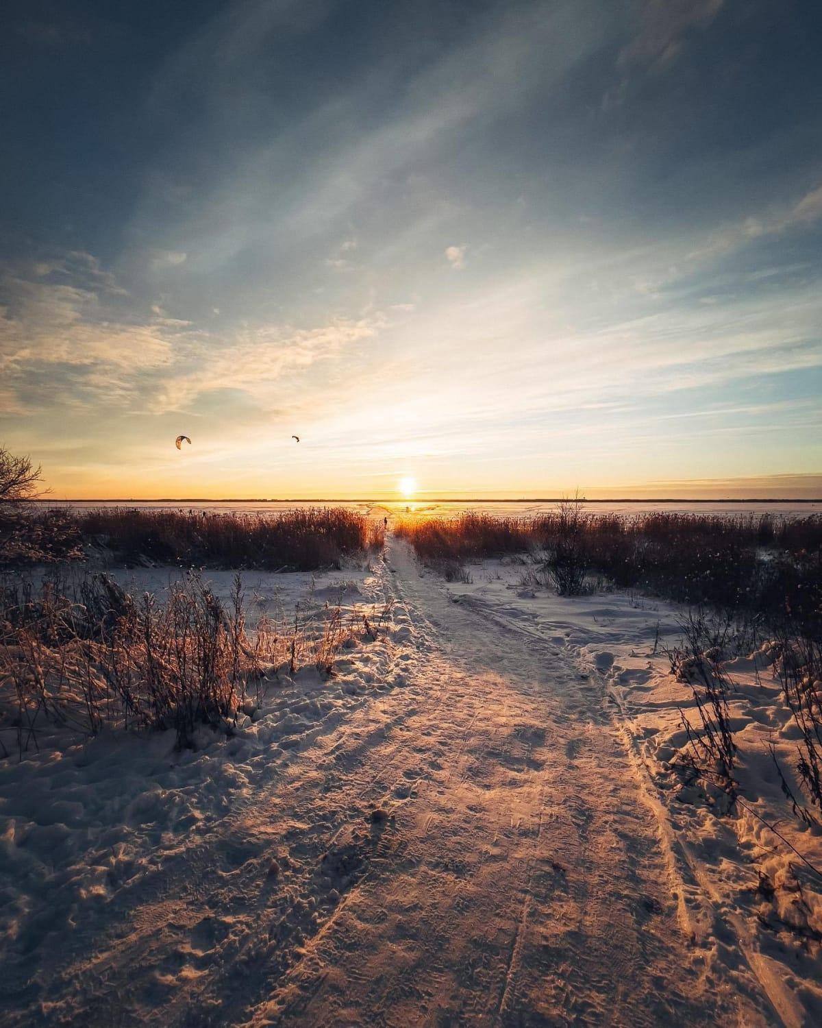 Winter is freezing but beautiful... - Lastu - Nordic Wooden Phone Cases - {{ product.product_type }} - 