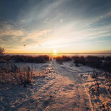 Winter is freezing but beautiful... - Lastu - Nordic Wooden Phone Cases - {{ product.product_type }} - 