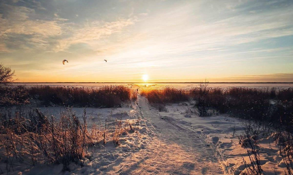 Winter is freezing but beautiful... - Lastu - Nordic Wooden Phone Cases - {{ product.product_type }} - 