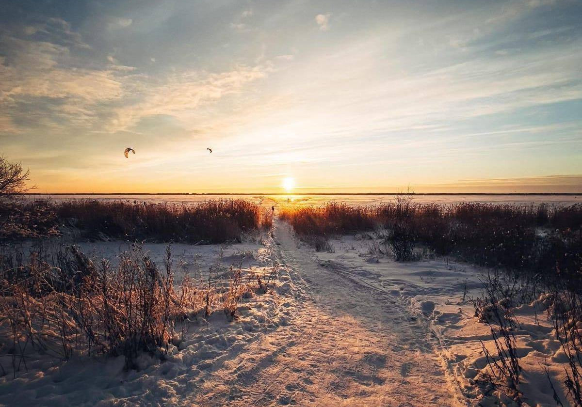 Winter is freezing but beautiful... - Lastu - Nordic Wooden Phone Cases - {{ product.product_type }} - 