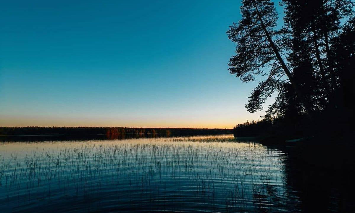>
Hyvää juhannusta!... - Lastu - Nordic Wooden Phone Cases - {{ product.product_type }} - 