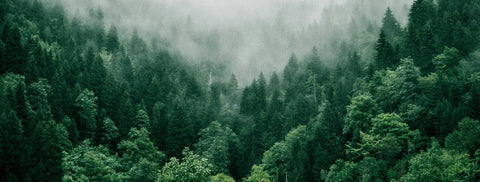 Lastun Nothing Phone -kuoret - Lastu