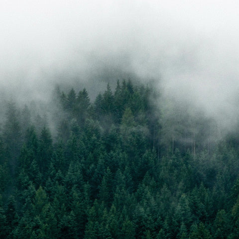 The Most Popular Lastu Cases Right Now Lastu