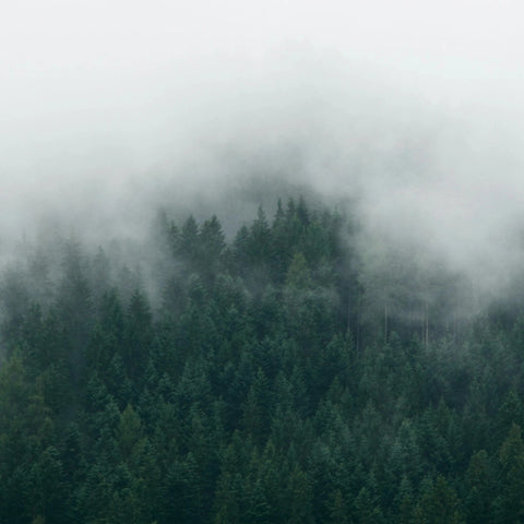 Lastu Phone Cases for Samsung Lastu