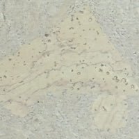 Lastu puinen materiaali puhelimen kuori, luonnollinen vaalea puu, AVADA - Best Sellers