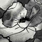 RATIA -kuosi: mustavalkoinen kukkakuosi Lastu puhelinkuorissa, yksityiskohtainen ja selkeä kaiverrus viimeistelyllä.