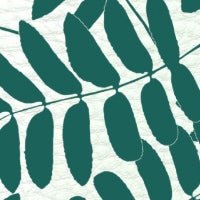 Close-up of green leaves pattern, ideal for botanical design inspirations and creative projects.