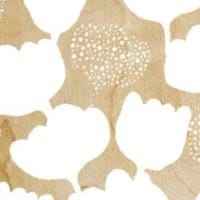 RATIA -kuosi: Lastu puhelinkuoret, vaaleaa koivupuuta, kaiverrettu kuvio orgaanisella kukkakuvioinnilla.