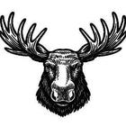 Kaiverrus valikoimasta: