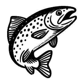 Kaiverrus valikoimasta: