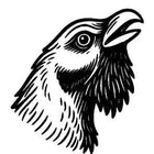 Kaiverrus valikoimasta: